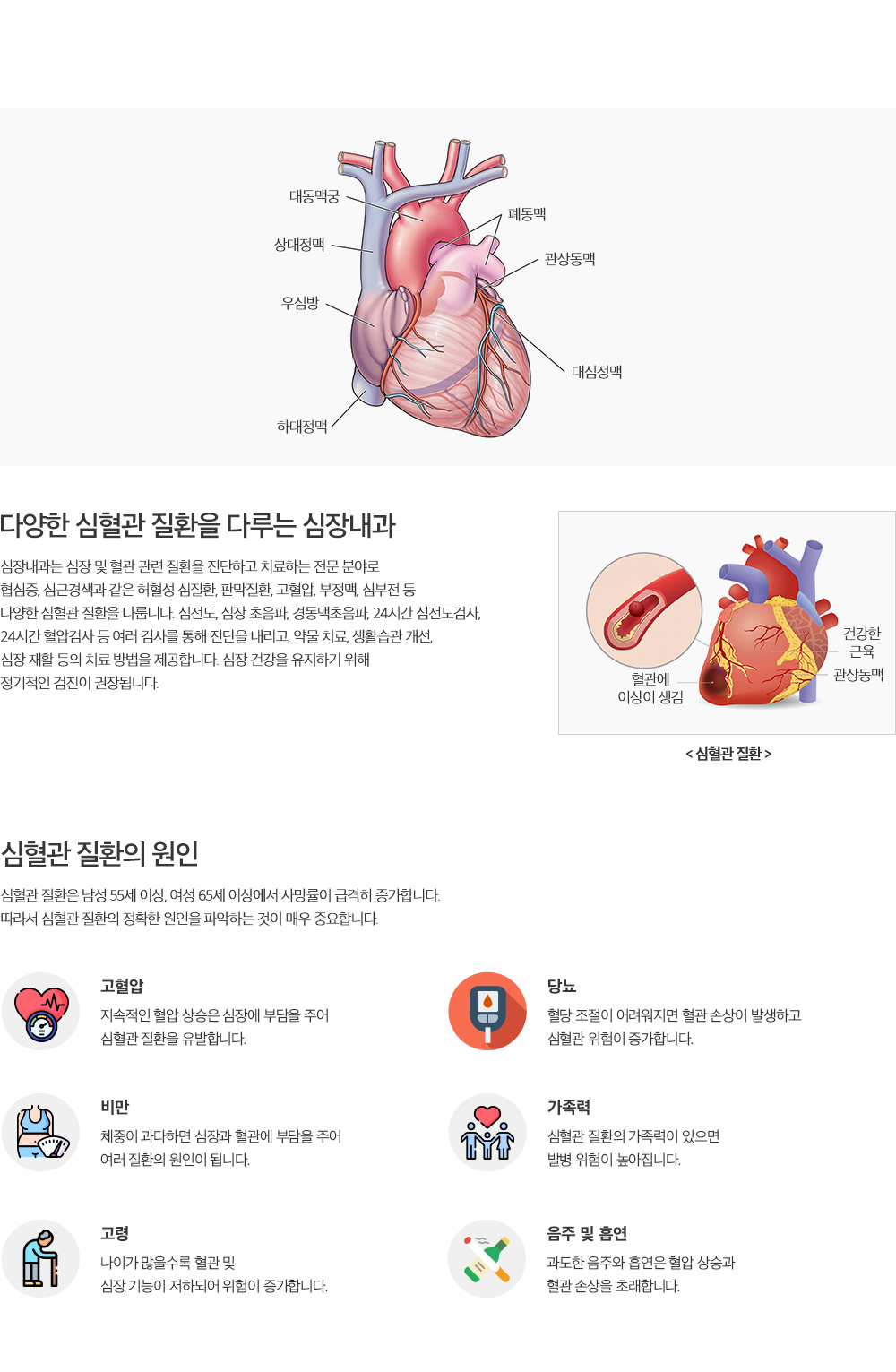 심장내과 설명