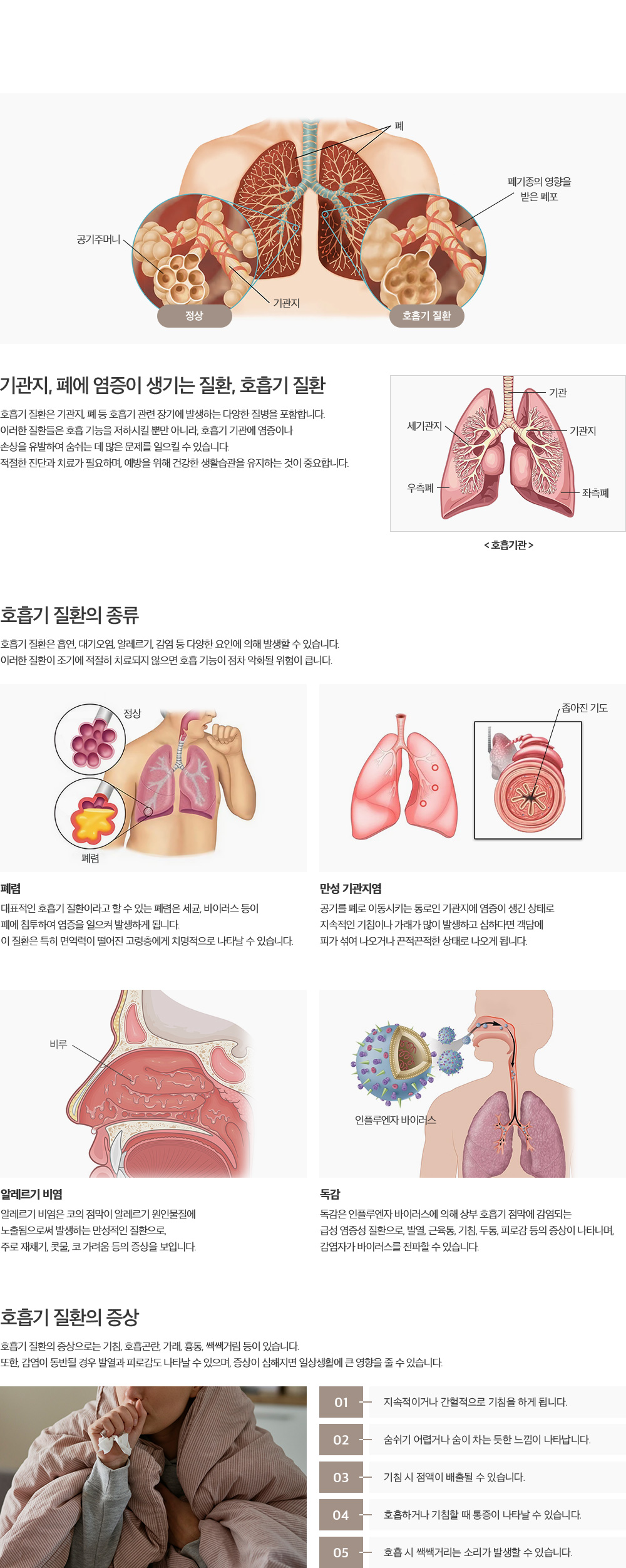 호흡기, 알레르기 질환 설명